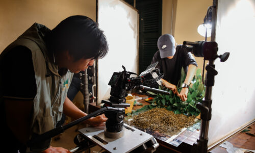 Trà sữa viễn viễn-12